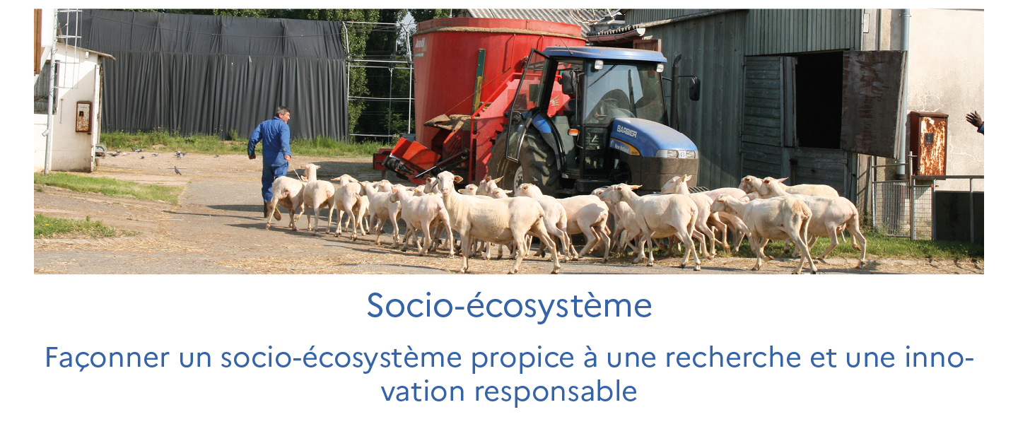 Socio-écosystème