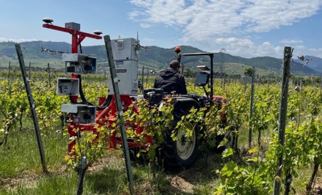 Phenotyping robot, or phenomobile, suitable for row crops such as vines.