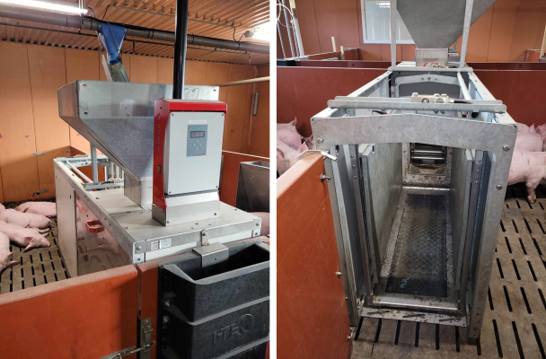 Automatic feed dispenser for measuring animal consumption.