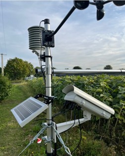 Connected stake combining cameras and sensors.
