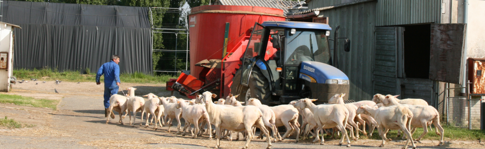 Bandeau Socio-écosystème