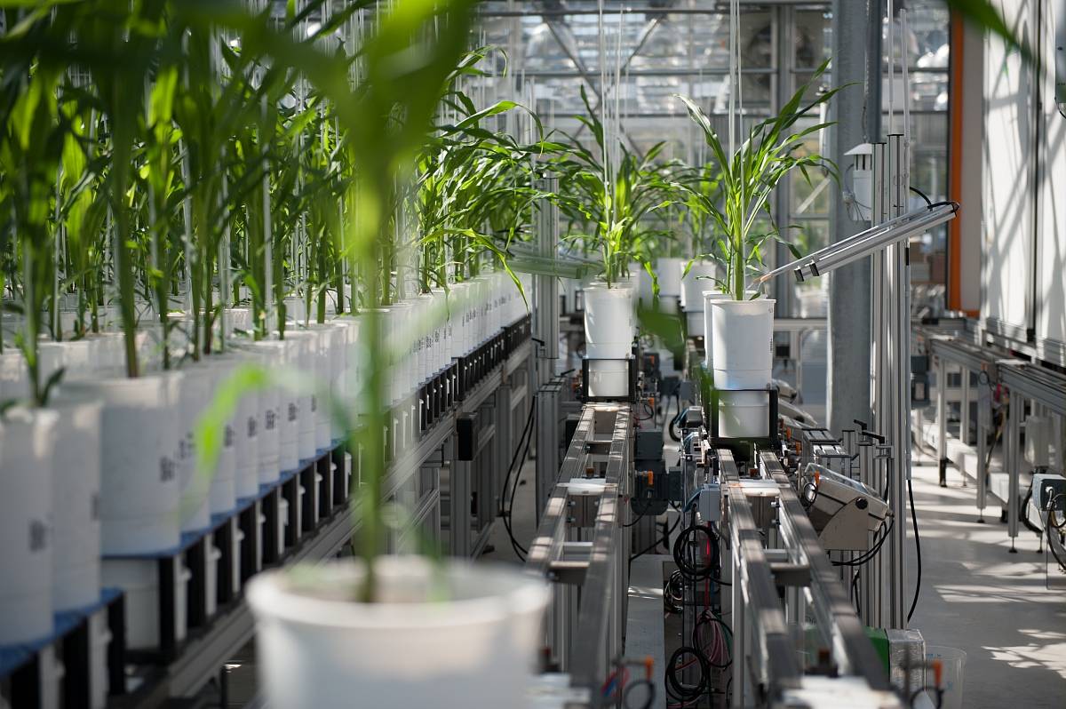 Visuel AgroEcoPhen
