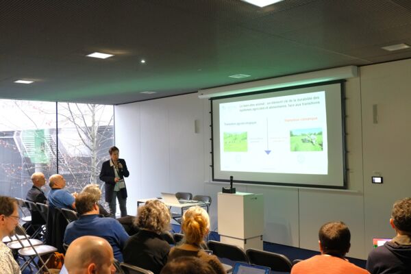 Trans Num&eacute;riques 2026_Florence Gondret