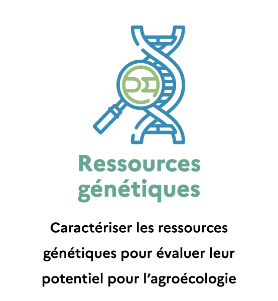 Icone Ressources génétiques